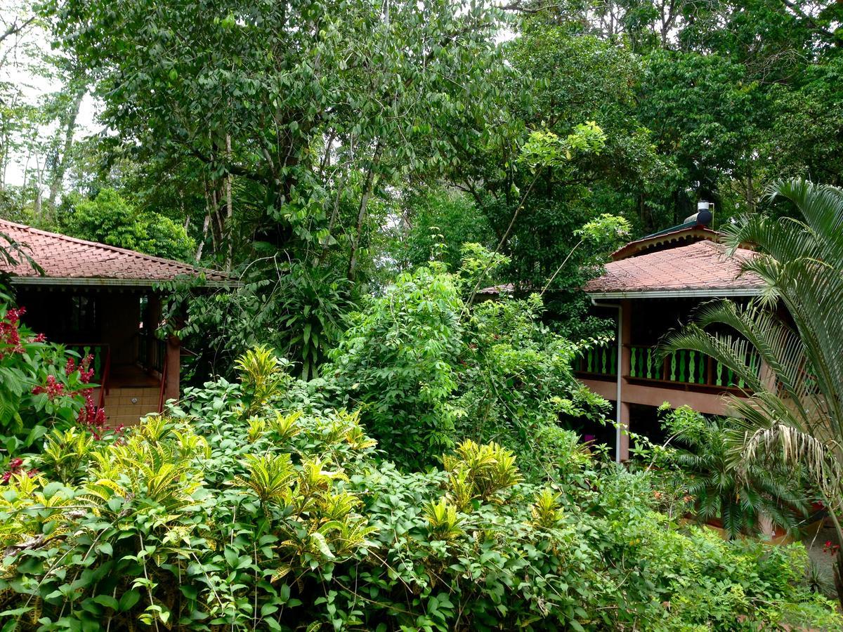 The Goddess Garden Eco-Resort Кауита Экстерьер фото